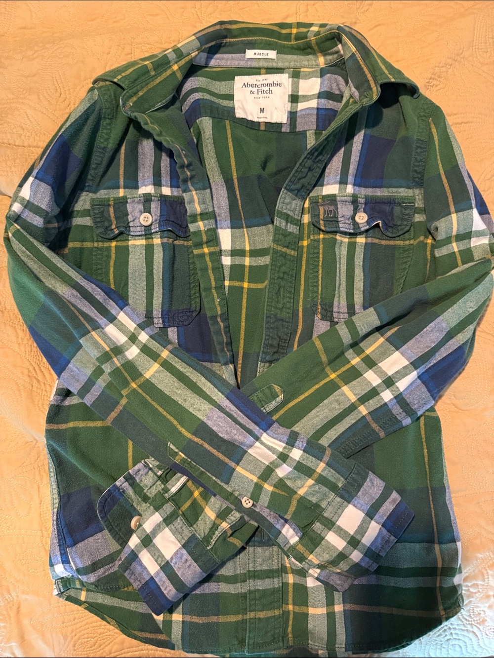Abercrombie & Fitch Green Navy Plaid Flannel Shirt